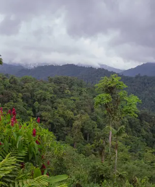 Von der Mount Totumas Cloud Forest Lodge aus die Natur erkunden